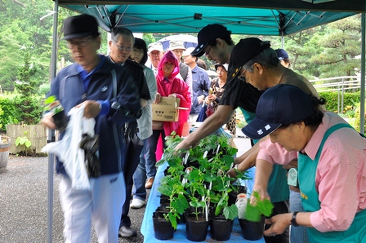 夏に向けて緑のカーテンを！（市民向けにゴーヤ苗を配布）