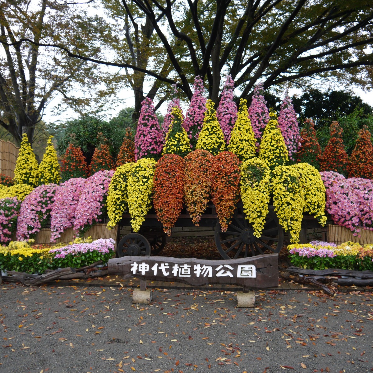 平成27年度　視察研修会
