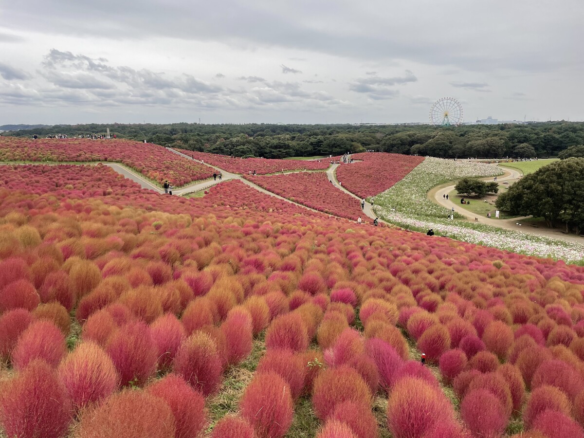 令和７年度「視察研修・交流会」を開催しました