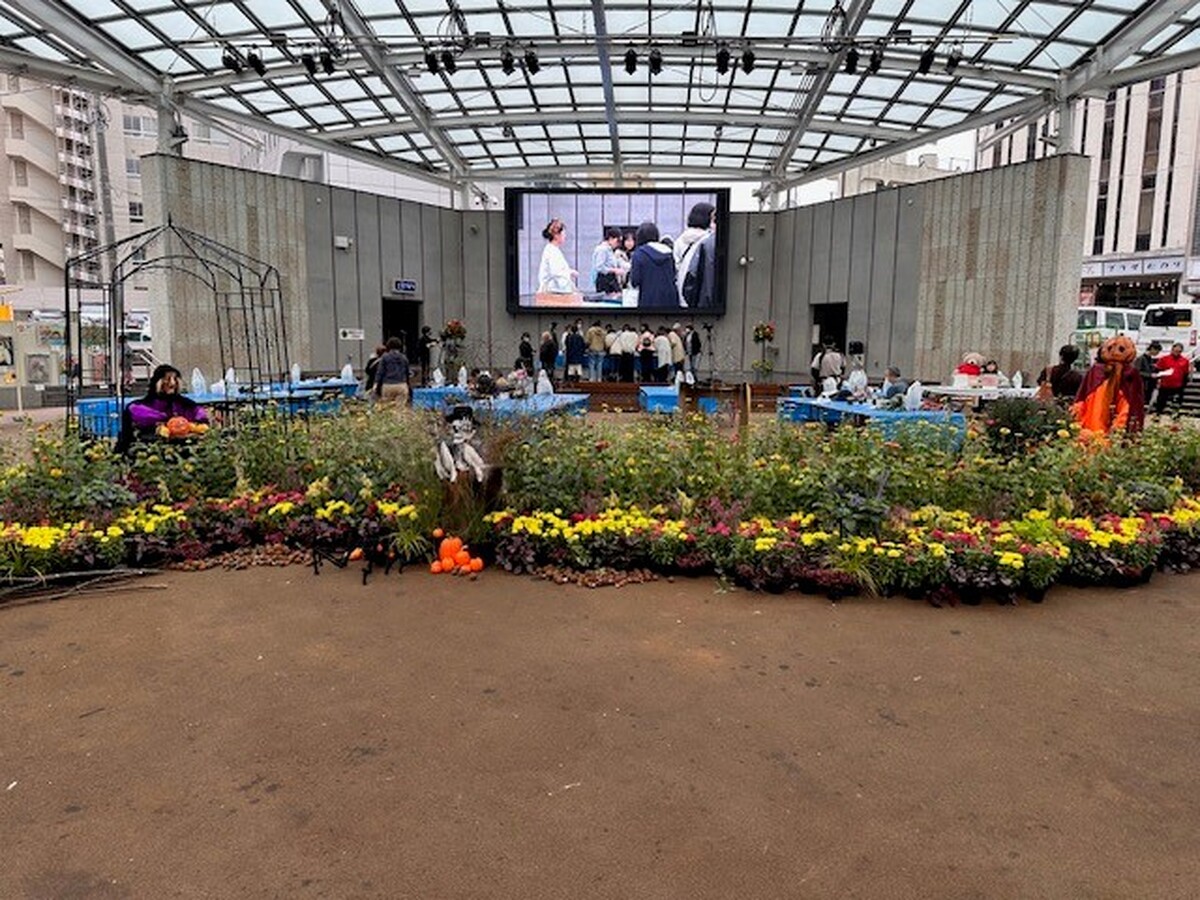 「花と緑のフェスティバルうつのみや２０２５」を開催しました