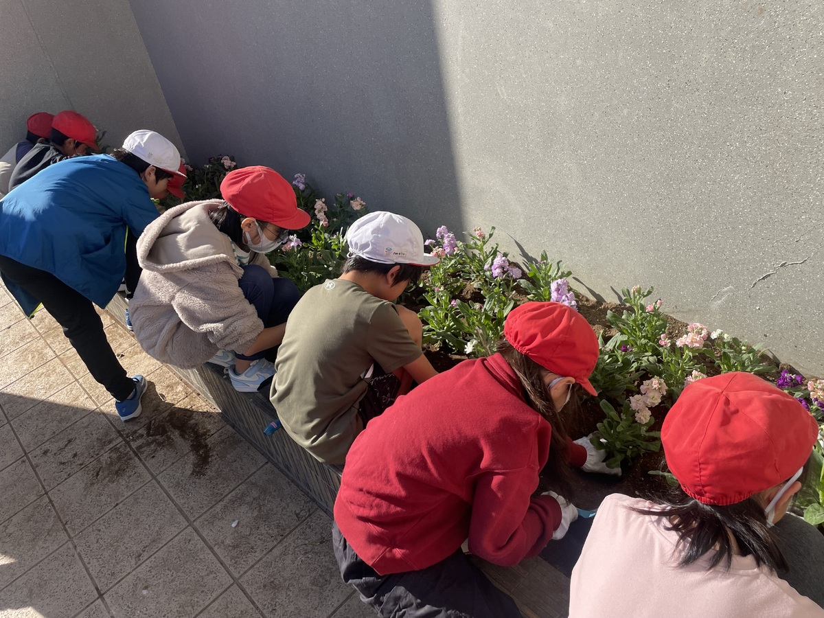 まちなか花壇を実施しました