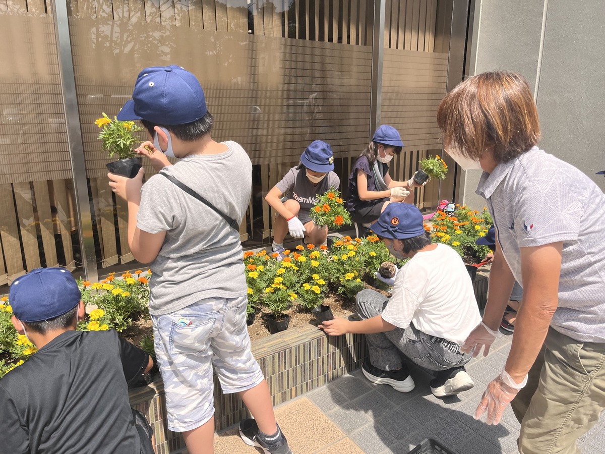 まちなか花壇を彩りました