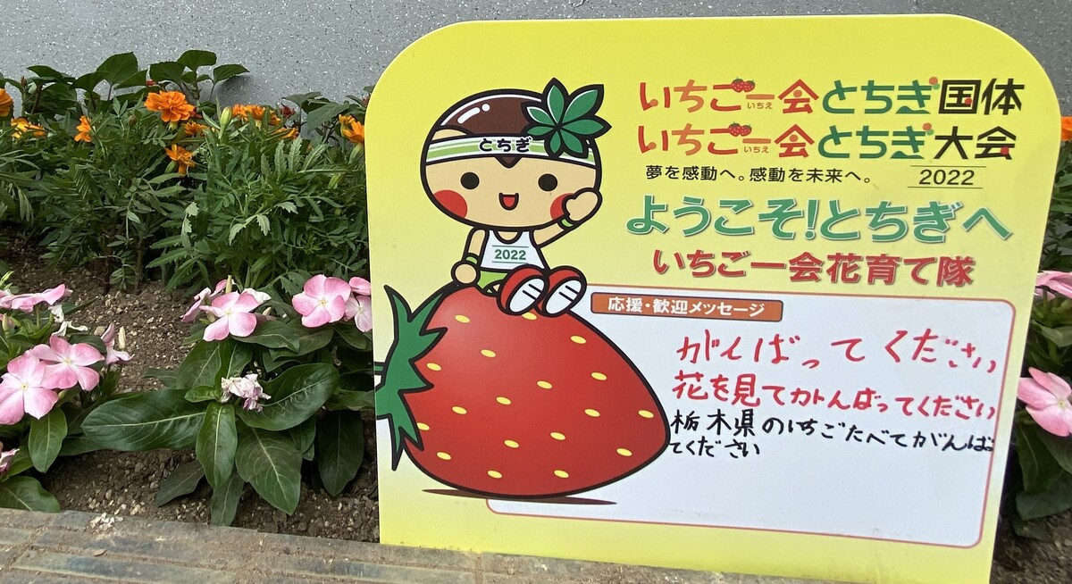 まちなか花壇でまちなかを彩りました