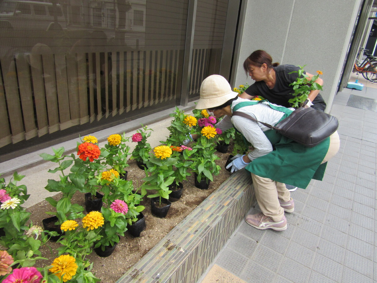 「第1回まちなか花壇」を実施